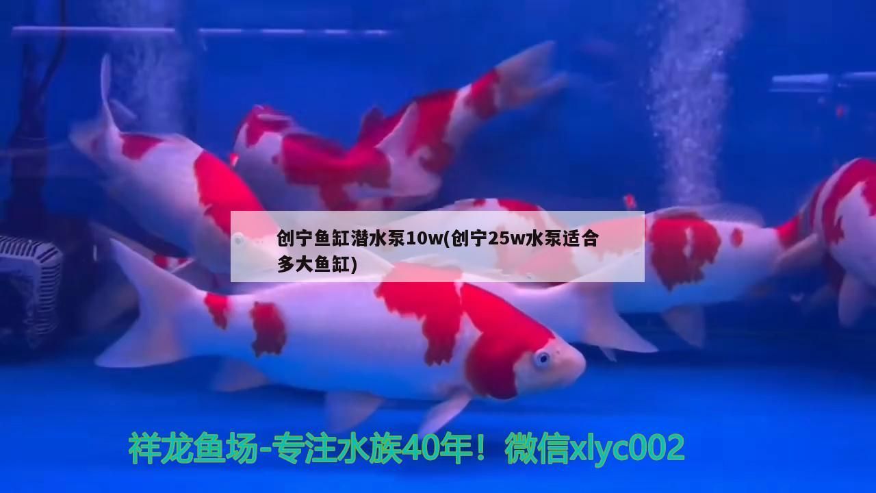 創寧魚缸潛水泵10w(創寧25w水泵適合多大魚缸)