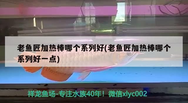 老魚匠加熱棒哪個系列好(老魚匠加熱棒哪個系列好一點) 老魚匠加熱棒哪個系列好(老魚匠加熱棒哪個系列好一點) 老魚匠