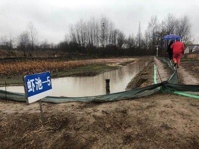 廣東觀賞魚鑒定機(jī)構(gòu)有哪些（廣東地區(qū)觀賞魚鑒定機(jī)構(gòu)） 廣東觀賞魚鑒定機(jī)構(gòu)有哪些（廣東地區(qū)觀賞魚鑒定機(jī)構(gòu)） 創(chuàng)寧水族 第3張