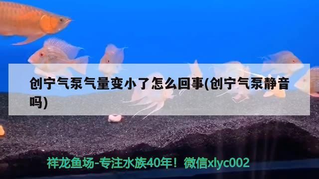 創寧氣泵氣量變小了怎么回事(創寧氣泵靜音嗎) 創寧氣泵氣量變小了怎么回事(創寧氣泵靜音嗎) 創寧水族
