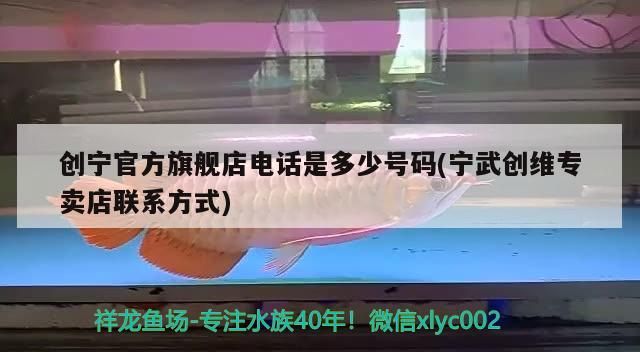 創(chuàng)寧官方旗艦店電話是多少號碼(寧武創(chuàng)維專賣店聯(lián)系方式)