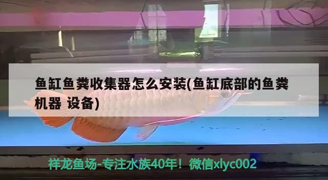 魚缸用增氧泵價(jià)格是多少:魚缸增氧機(jī)-xtrac增氧機(jī)-xtrac增氧機(jī) 魚缸魚糞收集器怎么安裝(魚缸底部的魚糞機(jī)器設(shè)備) 九鼎魚缸 魚缸魚糞收集器怎么安裝(魚缸底部的魚糞機(jī)器設(shè)備) 魚缸魚糞收集器怎么安裝(魚缸底部的魚糞機(jī)器設(shè)備) 九鼎魚缸