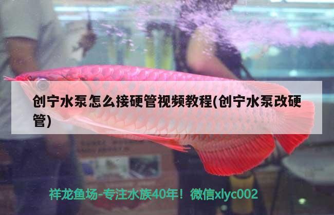 創(chuàng)寧水泵怎么接硬管視頻教程(創(chuàng)寧水泵改硬管) 創(chuàng)寧水泵怎么接硬管視頻教程(創(chuàng)寧水泵改硬管) 創(chuàng)寧水族