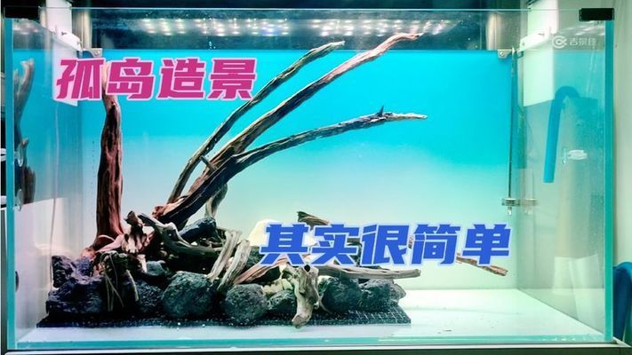 吉印哪款燈好（吉印哪款燈好用又實惠） 吉印哪款燈好（吉印哪款燈好用又實惠） 吉印水族