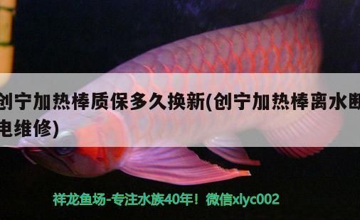 創(chuàng)寧加熱棒質(zhì)保多久換新(創(chuàng)寧加熱棒離水斷電維修)