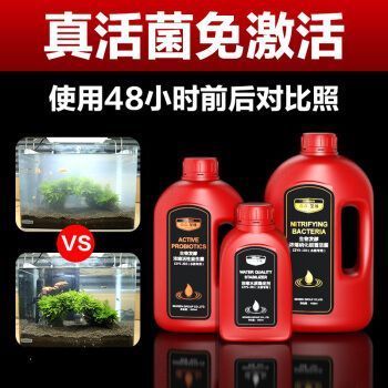 森森硝化細菌有用嗎 森森硝化細菌有用嗎 森森魚缸