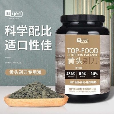 豬鼻龜批發(fā)