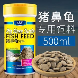 豬鼻龜批發(fā)