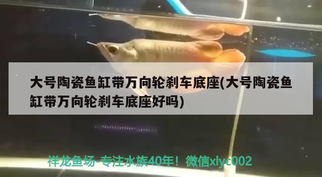 大號(hào)陶瓷魚缸帶萬向輪剎車底座(大號(hào)陶瓷魚缸帶萬向輪剎車底座好嗎)