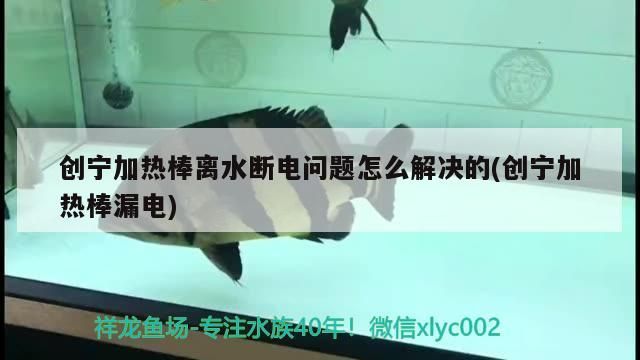 創寧加熱棒離水斷電問題怎么解決的(創寧加熱棒漏電)