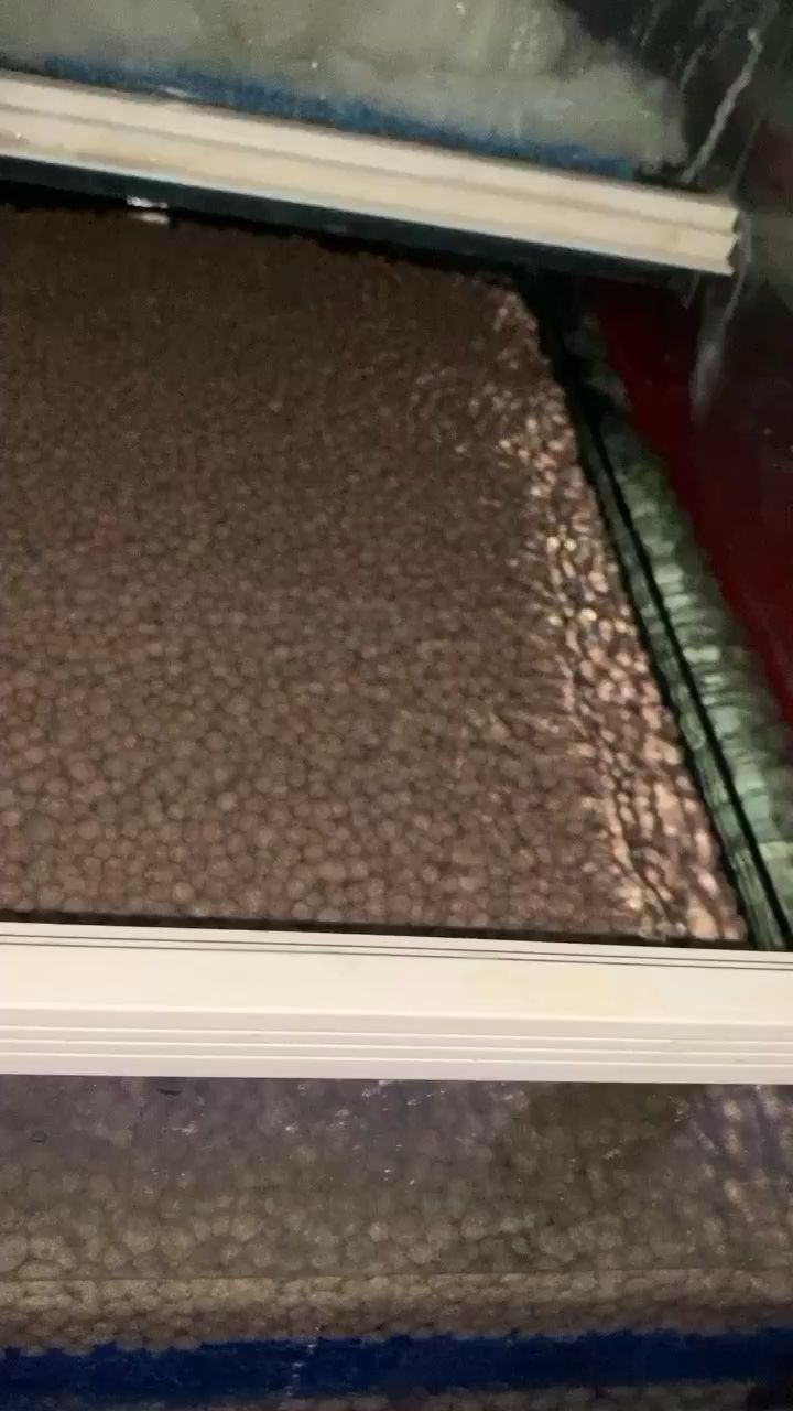 景德鎮水族館伊罕球 景德鎮水族館伊罕球 伊罕水族 第1張