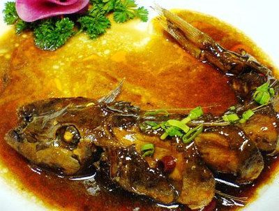 虎魚營養均衡食譜，打造虎魚營養均衡食譜
