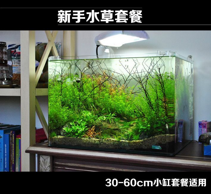 60的魚缸放多少陶瓷環:60厘米的魚缸應該放置多少陶瓷環 魚缸百科 第1張 60的魚缸放多少陶瓷環:60厘米的魚缸應該放置多少陶瓷環 60的魚缸放多少陶瓷環:60厘米的魚缸應該放置多少陶瓷環 魚缸百科 第1張