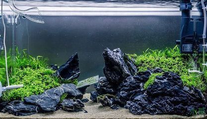40厘米的魚缸造景圖:40厘米魚缸造景圖的信息:魚缸造景圖的信息和技巧 魚缸百科 第4張 40厘米的魚缸造景圖:40厘米魚缸造景圖的信息:魚缸造景圖的信息和技巧 40厘米的魚缸造景圖:40厘米魚缸造景圖的信息:魚缸造景圖的信息和技巧 魚缸百科 第4張