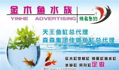 森森水族集團