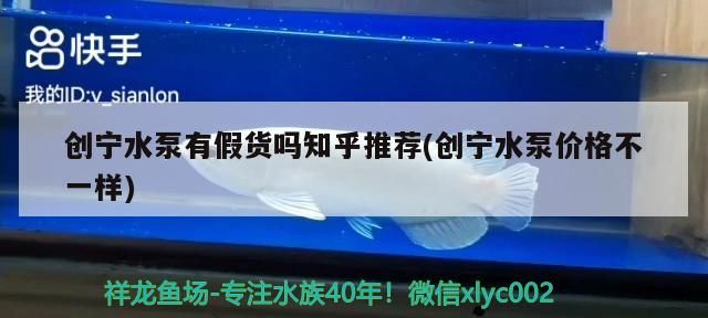 創(chuàng)寧水泵有假貨嗎知乎推薦(創(chuàng)寧水泵價格不一樣)