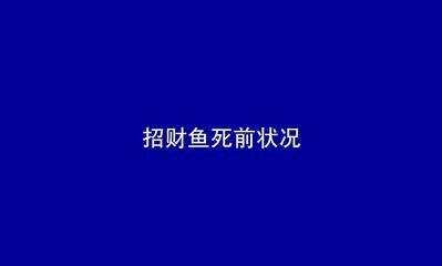 虎魚白點病用什么藥：虎魚白點病怎么治療 虎魚白點病用什么藥：虎魚白點病怎么治療 速倍妥魚糧魚藥 第3張