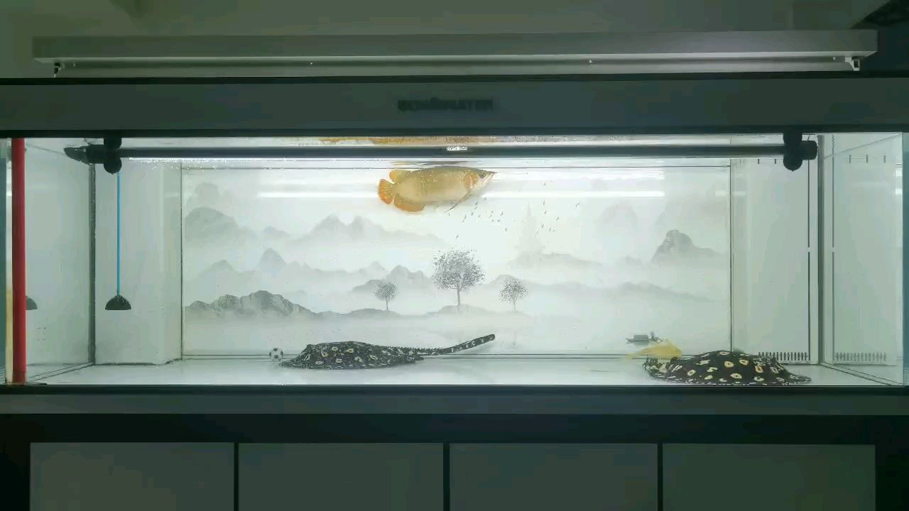 再累也要換水…