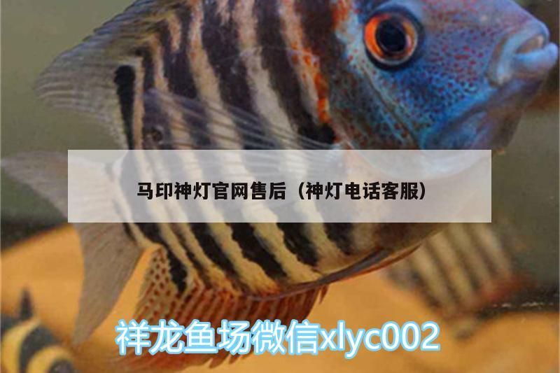馬印神燈官網售后（神燈電話客服）