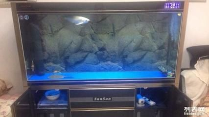 森森魚缸一米五多少錢，森森魚缸1.5米價格在4000元左右