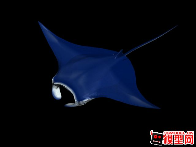 魔鬼魚魟魚為什么沒有滅絕：魔鬼魚和蝠[需手動填充]為什么沒有滅絕？