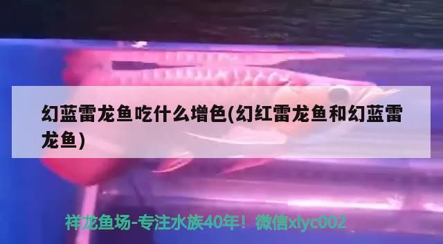 伊罕過濾桶安裝圖解（伊罕過濾桶安裝順序）