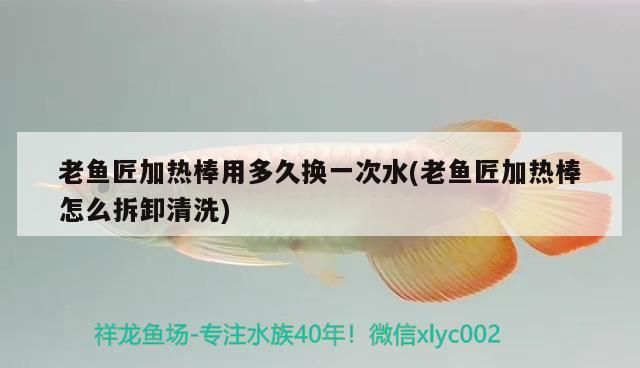 老魚匠加熱棒用多久換一次水(老魚匠加熱棒怎么拆卸清洗)