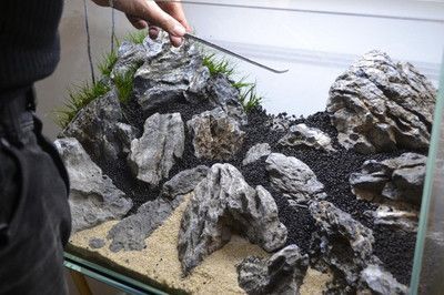 35厘米魚缸青龍石造景圖片：35厘米魚缸青龍石造景 35厘米魚缸青龍石造景圖片：35厘米魚缸青龍石造景 魚缸百科 第1張