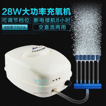成都龍魚祥龍魚場在哪里(龍魚魚場都有哪些) 成都龍魚祥龍魚場在哪里(龍魚魚場都有哪些) vs祥龍魚場