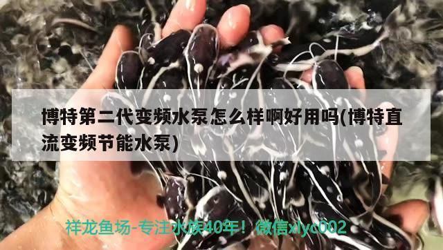 博特第二代變頻水泵怎么樣啊好用嗎(博特直流變頻節能水泵)