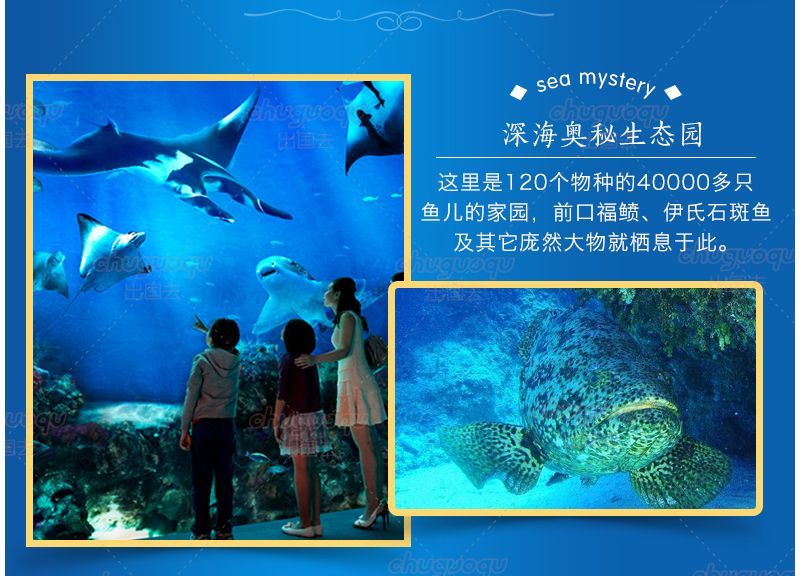 水族館有什么魚詳細介紹圖片（水族館中展示的魚類有哪些？）