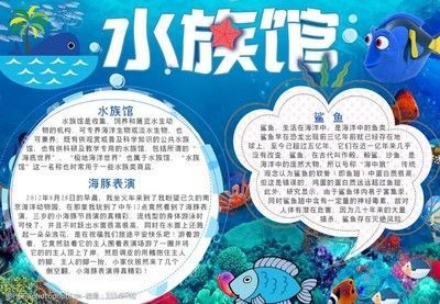 水族館有什么魚詳細介紹圖片（水族館中展示的魚類有哪些？）