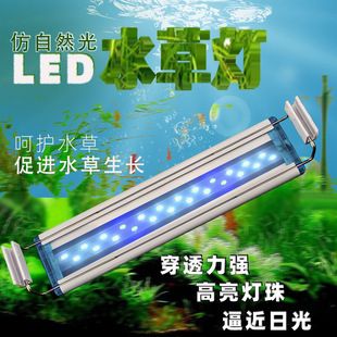 愛(ài)唯希魚缸專賣店地址電話是多少（愛(ài)唯希魚缸專賣店地址電話是多少號(hào)）