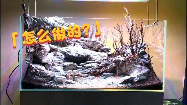 60公分魚缸造景效果圖片視頻：60公分魚缸造景之東南亞熱帶雨林風格60公分魚缸造景教程