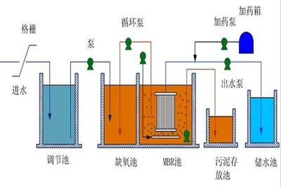 水肖是指哪幾個生肖？解析五行生肖中的水屬性，水肖是指哪幾個生肖？解析五行生肖中的水屬性