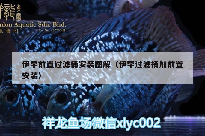 伊罕前置過濾桶安裝圖解（伊罕過濾桶加前置安裝）
