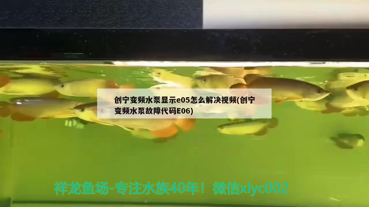 創寧變頻水泵顯示e05怎么解決視頻(創寧變頻水泵故障代碼E06)