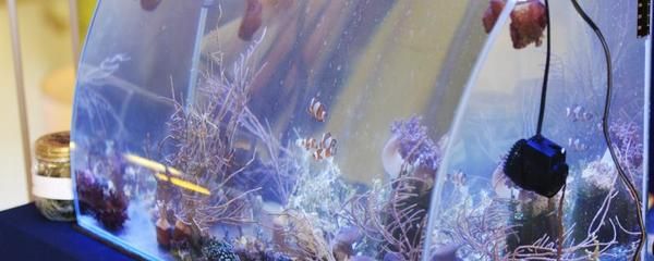 魚缸用增氧泵價格是多少:魚缸增氧機-xtrac增氧機-xtrac增氧機 吉印客服(吉印客服電話) 吉印水族 吉印客服(吉印客服電話) 吉印客服(吉印客服電話) 吉印水族