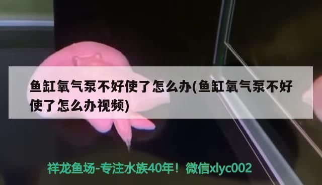 魚缸氧氣泵不好使了怎么辦(魚缸氧氣泵不好使了怎么辦視頻)