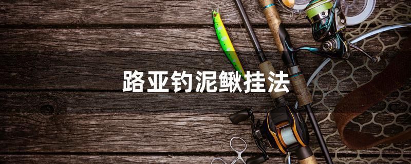路亞釣?zāi)圉q掛法 路亞釣?zāi)圉q掛法 速倍妥魚糧魚藥