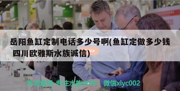 觀賞魚 岳陽魚缸定制電話多少號啊(魚缸定做多少錢四川歐雅斯水族誠信) 元寶鳳凰魚百科 岳陽魚缸定制電話多少號啊(魚缸定做多少錢四川歐雅斯水族誠信) 岳陽魚缸定制電話多少號啊(魚缸定做多少錢四川歐雅斯水族誠信) 元寶鳳凰魚百科