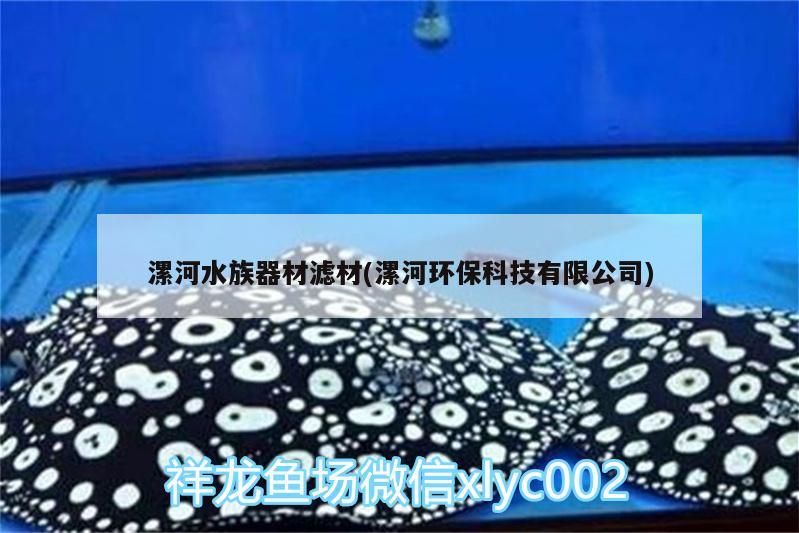 漯河水族器材濾材(漯河環(huán)保科技有限公司) 漯河水族器材濾材(漯河環(huán)保科技有限公司) 錦鯉魚百科