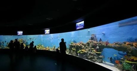 水族館特點(diǎn)：上海海洋水族館科研成果有哪些應(yīng)用水族館互動(dòng)體驗(yàn)項(xiàng)目介紹