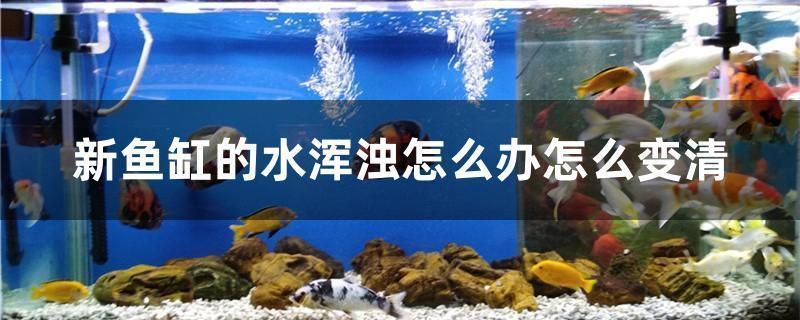 露天魚缸設(shè)計(jì)圖片（露天魚缸設(shè)計(jì)圖片大全）