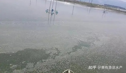 屬蛇人永遠最旺的顏色，揭秘五行命理與開運色彩，屬蛇人五行開運指南，揭秘一生最旺你的幸運色彩