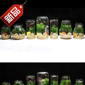 diy魚缸擺件：diy魚缸擺件推薦
