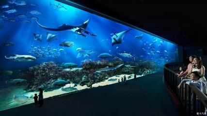 世界最大的水族館在哪個國家？（世界上最大的水族館是喬治亞水族館，是世界上最大的水族館） 世界最大的水族館在哪個國家？（世界上最大的水族館是喬治亞水族館，是世界上最大的水族館） 水族館百科（水族館加盟） 第1張