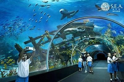 世界最大的水族館在哪個國家？（世界上最大的水族館是喬治亞水族館，是世界上最大的水族館） 世界最大的水族館在哪個國家？（世界上最大的水族館是喬治亞水族館，是世界上最大的水族館） 水族館百科（水族館加盟） 第3張