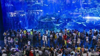 世界最大的水族館在哪個國家？（世界上最大的水族館是喬治亞水族館，是世界上最大的水族館） 世界最大的水族館在哪個國家？（世界上最大的水族館是喬治亞水族館，是世界上最大的水族館） 水族館百科（水族館加盟） 第2張