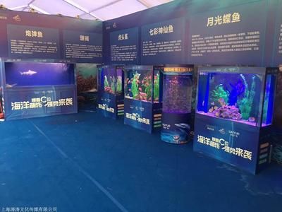 水族館的英文是什么：水族展覽中心或水生動物園是一個展示和保護水生生物的設施